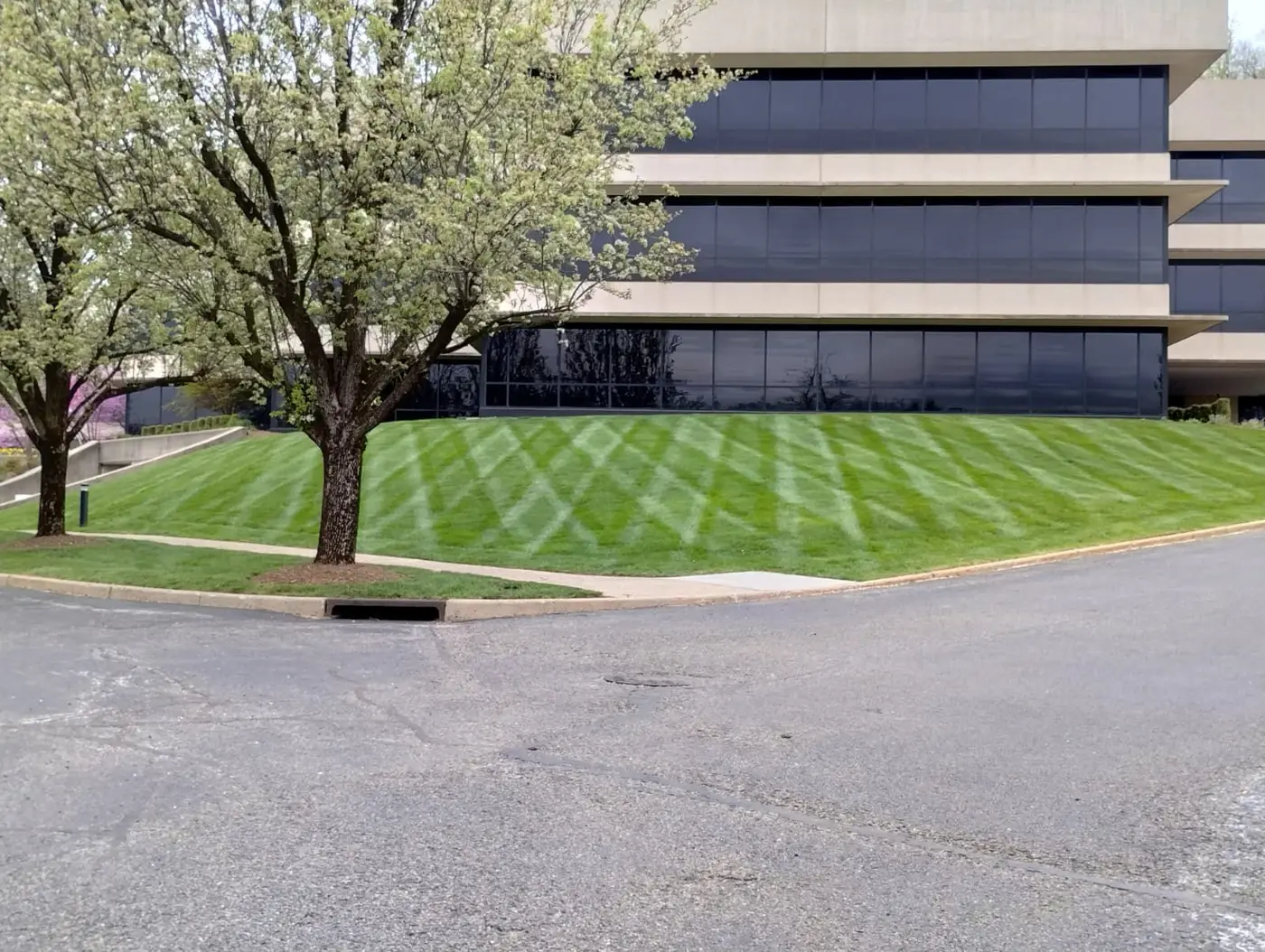 Landscaping work by Mike's Hardscapes
